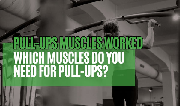 Pull-Ups Muscles Worked – Which Muscles Do You Need for Pull-Ups?