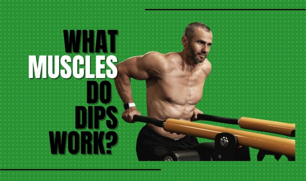 What Muscles Do Dips Work? Chest and Tricep Activation
