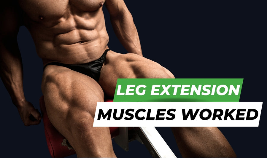 What Muscles Do Leg Extensions Work