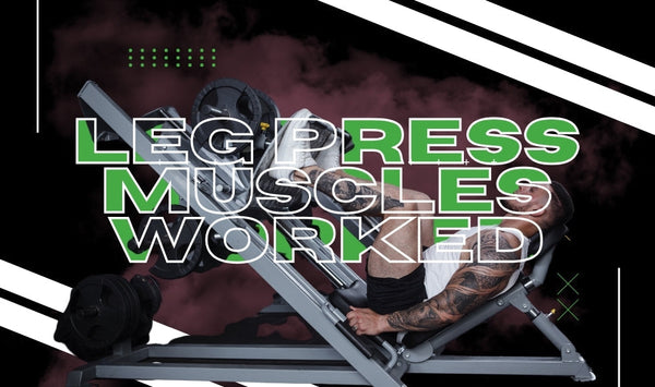 Leg Press Muscles Worked