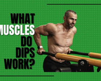 What Muscles Do Dips Work?