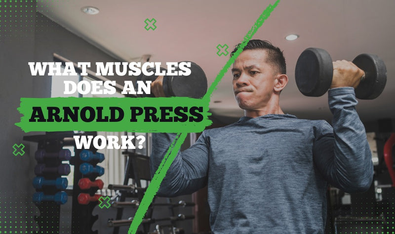 What Muscles Does an Arnold Press Work?