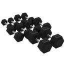 Rival Rubber Hex Dumbbell Sets