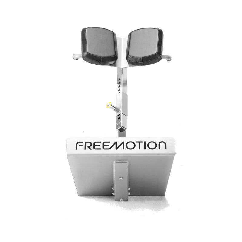 Freemotion 45-degree Back Extension