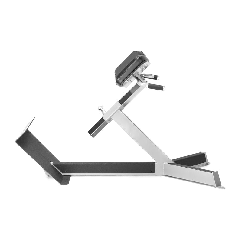 Freemotion 45-degree Back Extension