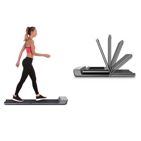 Flow Fitness DTM100i