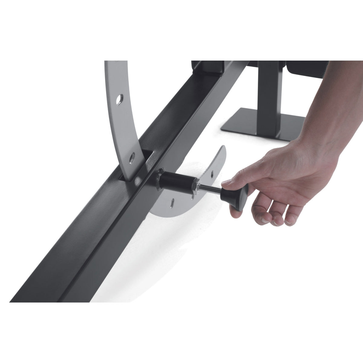 ProForm Carbon Smith Rack