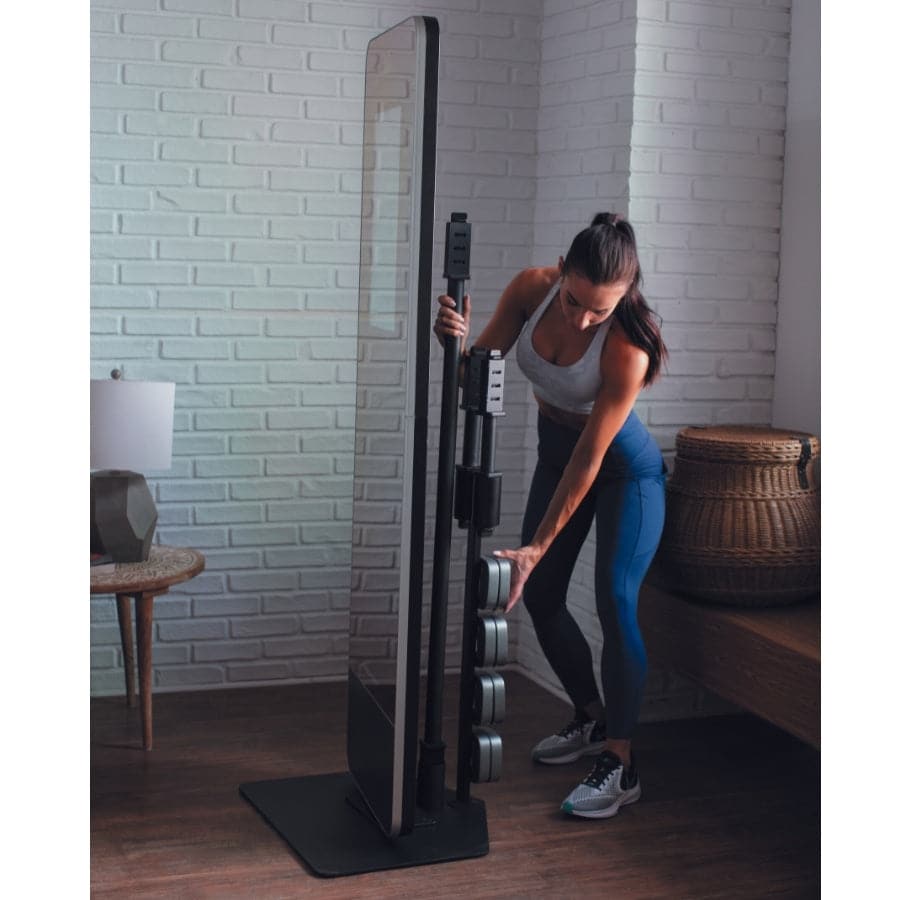 Proform Vue Proform Personal Trainer Proform Vue Mirror Wisthoff's